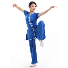 Image result for kung fu