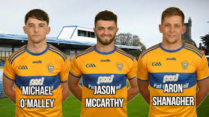 Image result for Clarehurlers