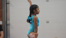 Image result for Wickers Gymnastics Club