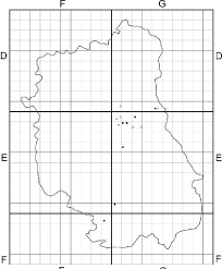 Attēlu rezultāti vaicājumam “Chara filiformis”