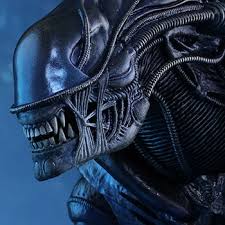 Image result for xenomorph