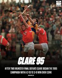 Image result for Clarehurlers