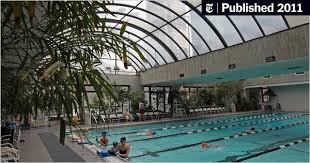 Image result for York University Pool Club