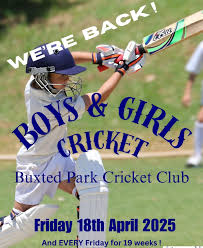 Image result for Buxted Park Cricket Club