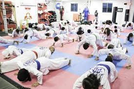 Image result for Silat Perisai Diri Classes Club