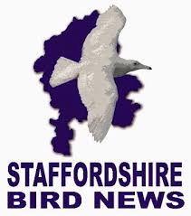 Image result for England Staffordshire Birding Club