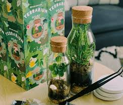 Attēlu rezultāti vaicājumam “Didymodon rigidulus sporophyte”