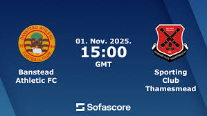 Image result for Banstead Athletic Fc