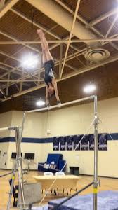 Image result for Thornton Sport Gymnastics
