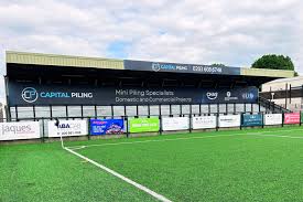 Image result for Dorking Wanderers F C