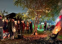 Image result for Island Bohemian Bowls Club