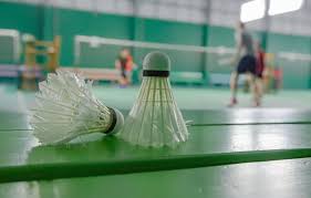 Image result for Feathers (New Milton) Badminton Club