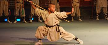 Image result for kung fu