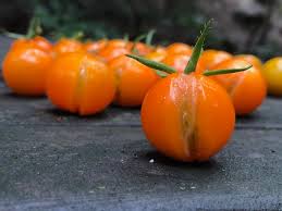 Afbeeldingsresultaat voor oranje van goeienbier tomato