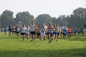 Image result for Tunbridge Wells Harriers
