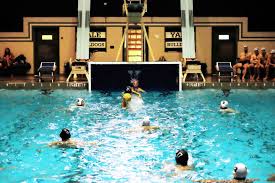 Image result for York University Swimming & Water Polo Club