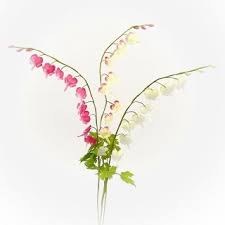 Image result for tränendes Herz