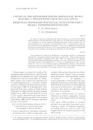 Attēlu rezultāti vaicājumam “Didymodon rigidulus sporophyte”