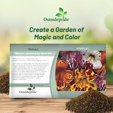 Image result for Mimulus x hybrida