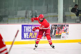 Image result for York University Street Hockey Club