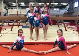Image result for Forest Of Dean Gymnastics Club