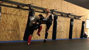 Image result for United Dojos Kickboxing