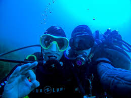 Image result for Seabug Divers