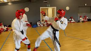 Image result for Reading Tkd