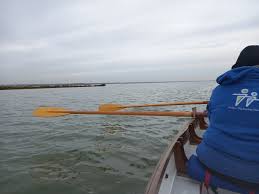 Image result for Maldon Canoe Club