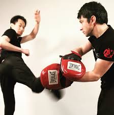 Image result for Somerset Jeet Kune Do