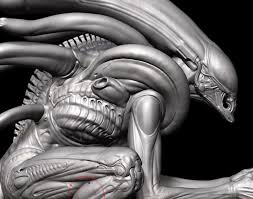 Image result for xenomorph