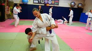 Image result for British Jujitsu Ryu