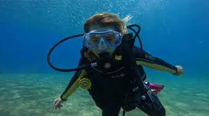 Image result for Manta Divers Sub-Aqua Club