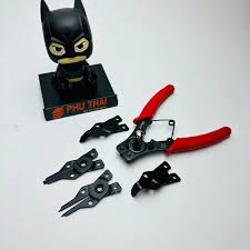 Image result for pheega