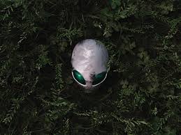 Image result for alienware wallpaper