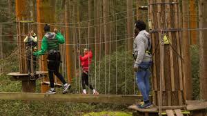Image result for Go Ape! Leeds Castle