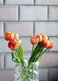 Attēlu rezultāti vaicājumam “Tulipa gesneriana flower”