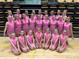 Image result for Harlequin Gymnastics Club