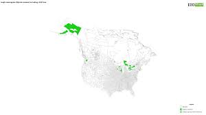 Attēlu rezultāti vaicājumam “Glyceria maxima fruit”