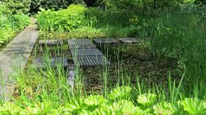 Image result for Mien Ruys