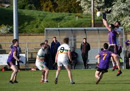 Image result for Carryduff Gaelic Athletic Club