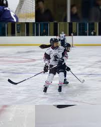 Image result for Haringey Greyhounds Ice Hockey Club
