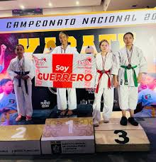 Image result for Guerrero Martial Arts