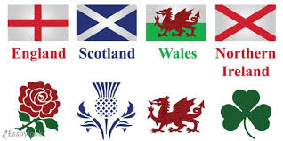 Image result for символ англии