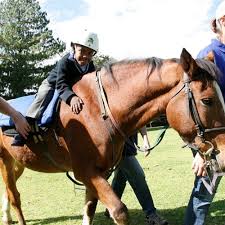 Image result for Riding For The Disabled Association