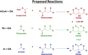 Image result for ACOA