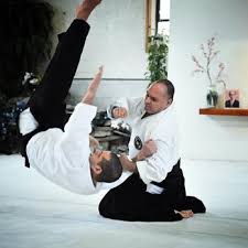 Image result for Tora Dojo