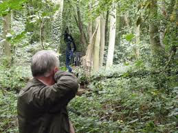 Image result for Panther Bowhunters Field Archery Club