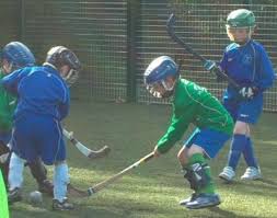 Image result for Edinburgh University Shinty Club