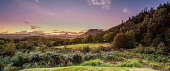 Image result for Aberfoyle Golf Club